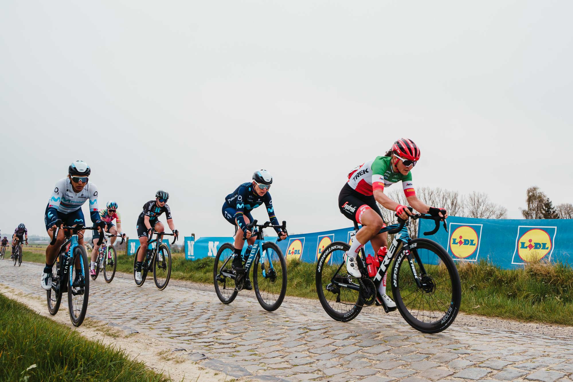 Discover the course of Dwars Door Vlaanderen 2023