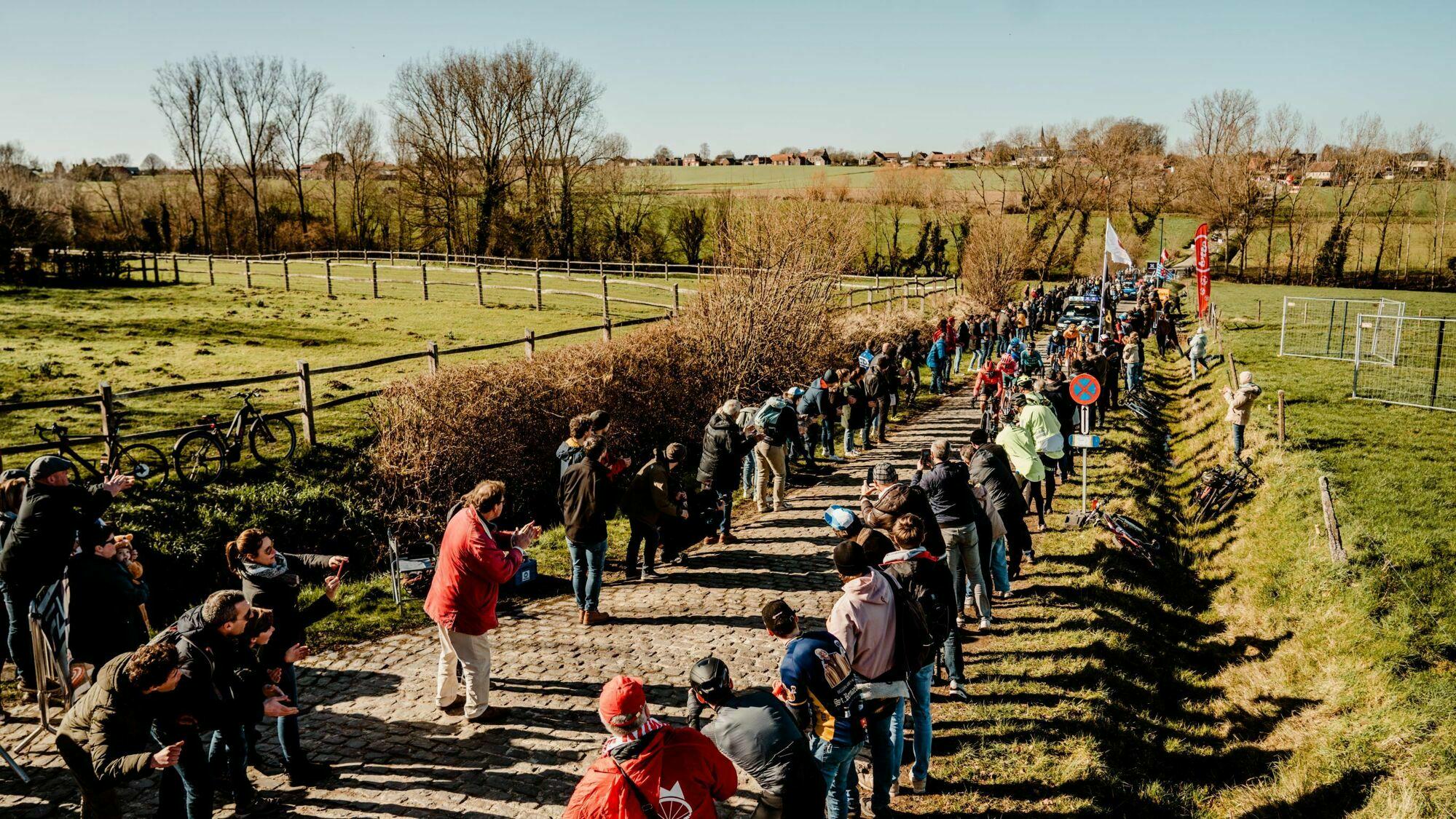 Qui pour succéder à Wout van Aert?