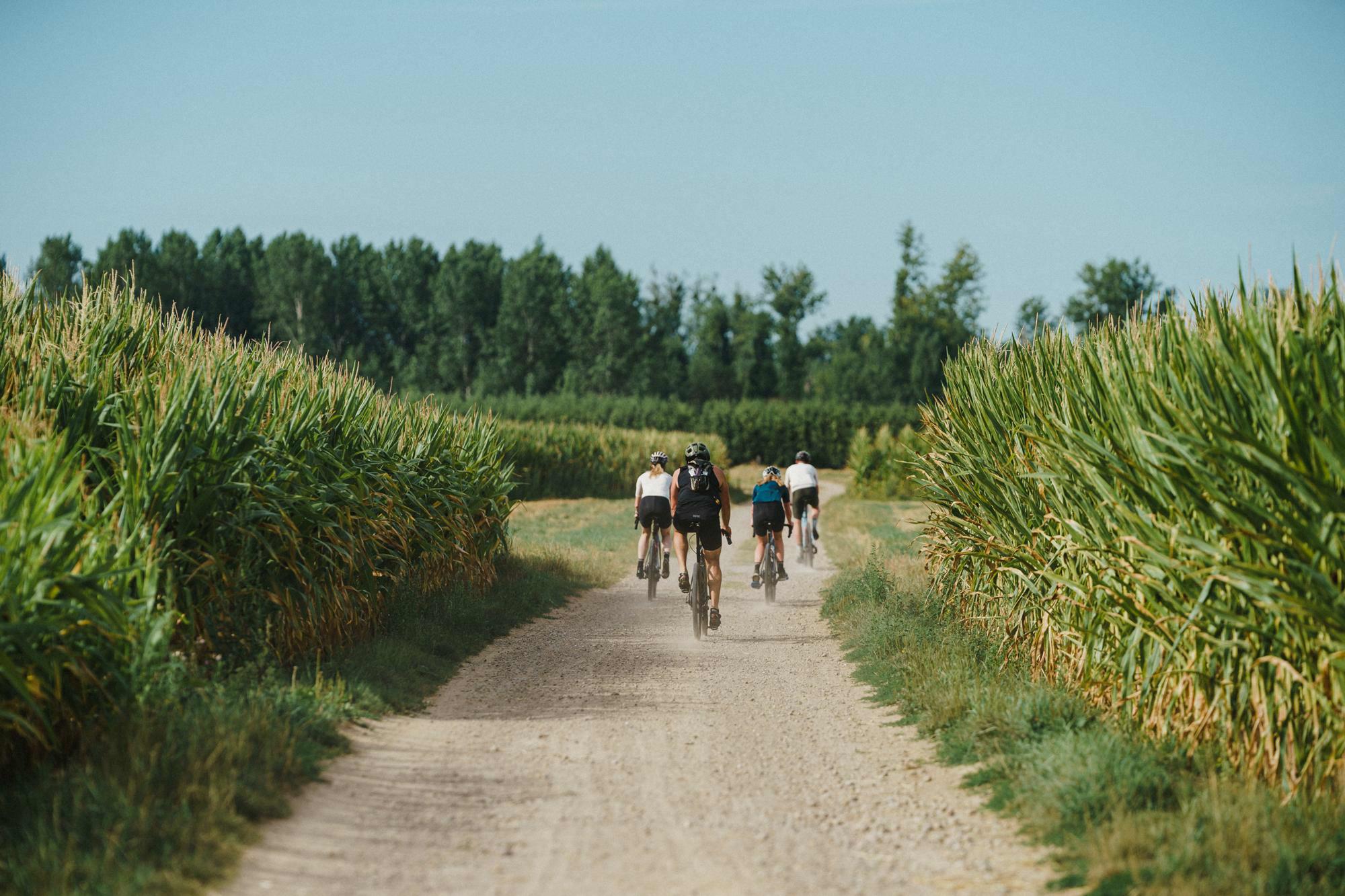 From the Kemmelberg, via De Ronde off-road and gravel paradise Limburg to Durbuy