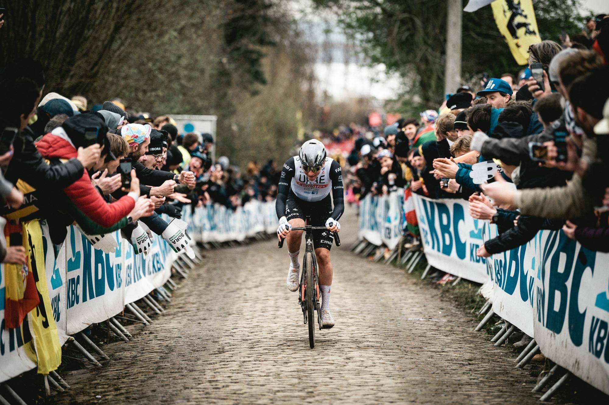 Koersgek : 20 years of Centrum Ronde van Vlaanderen