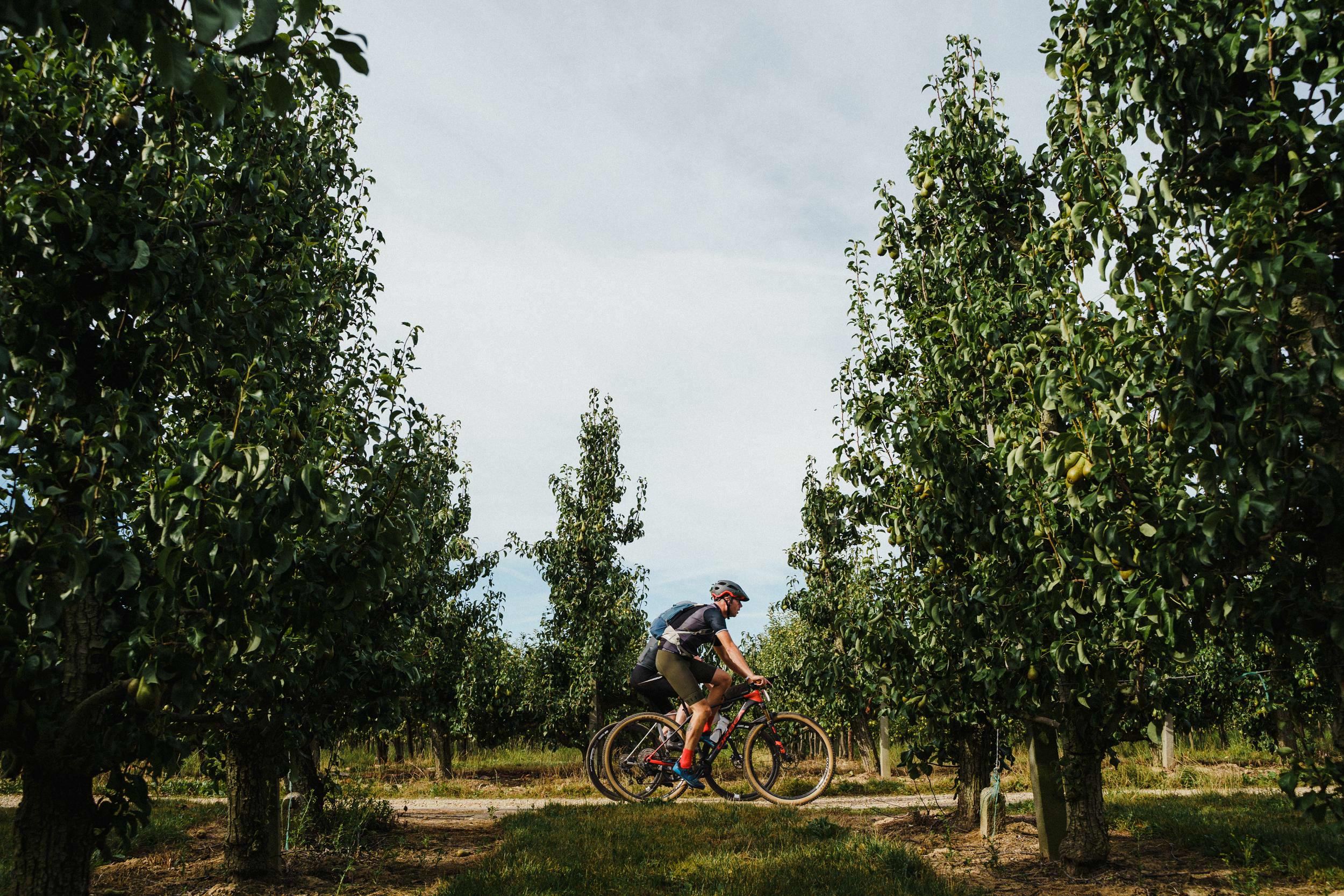 Flanders Gravel Limburg