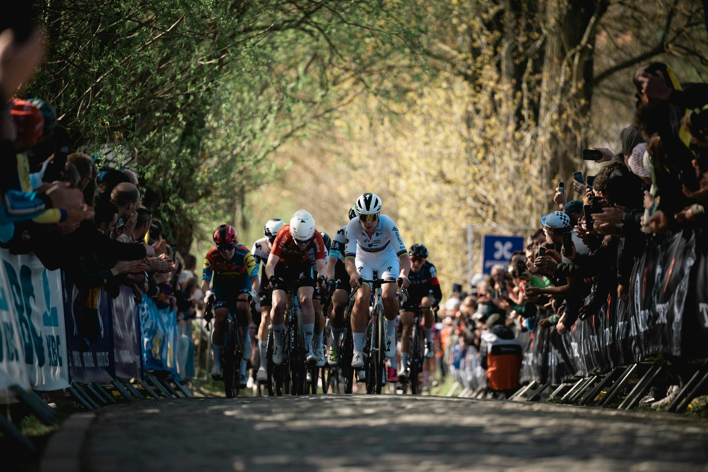 Tour des Flandres 2025