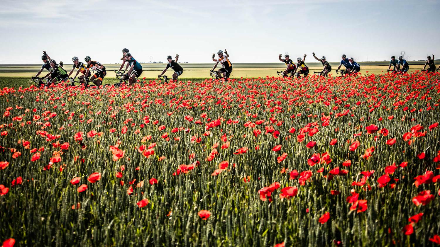 Jouw zomer op de fiets