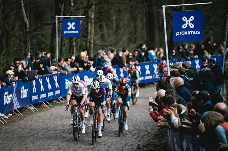 In Flanders Fields - from Middelkerke to Wevelgem
