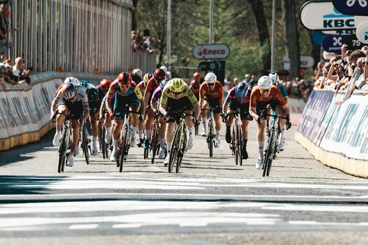 Scheldeprijs